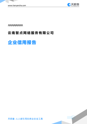 天眼查企业信用报告 云南智点网络服务有限公司业务溯源深度调研